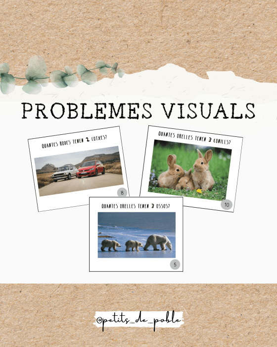 PROBLEMAS VISUALES