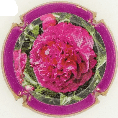 MIGNON, PIERRE (LAMBERT 66 - FRA)