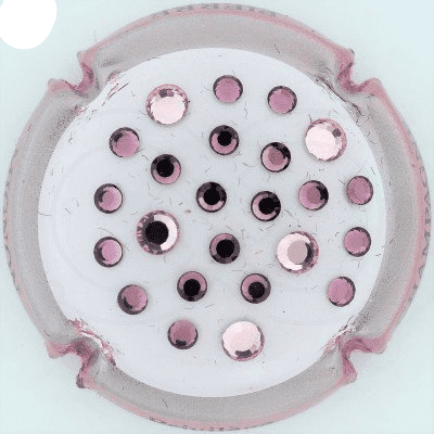 MIGNON, PIERRE LAMBERT 41AB