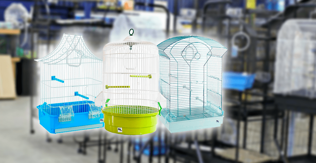 Essential assortment of bird cages in pet shops