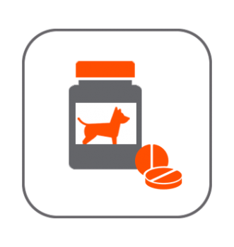 Salud y vitaminas perros