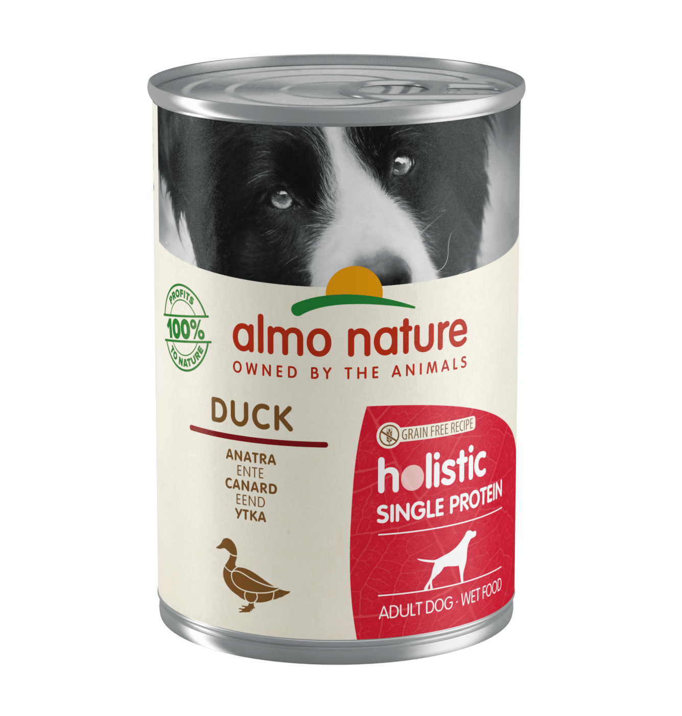 DOG WET HOLISTIC SINGLE PROTEIN PATO