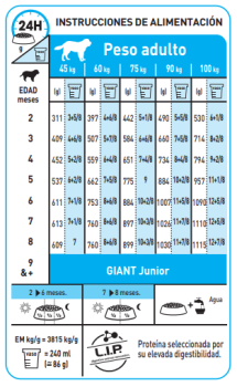 GIANT PUPPY - 7