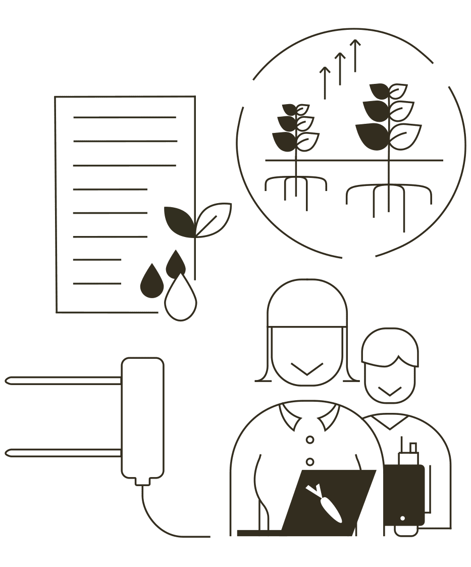 Support in irrigation and nutrition