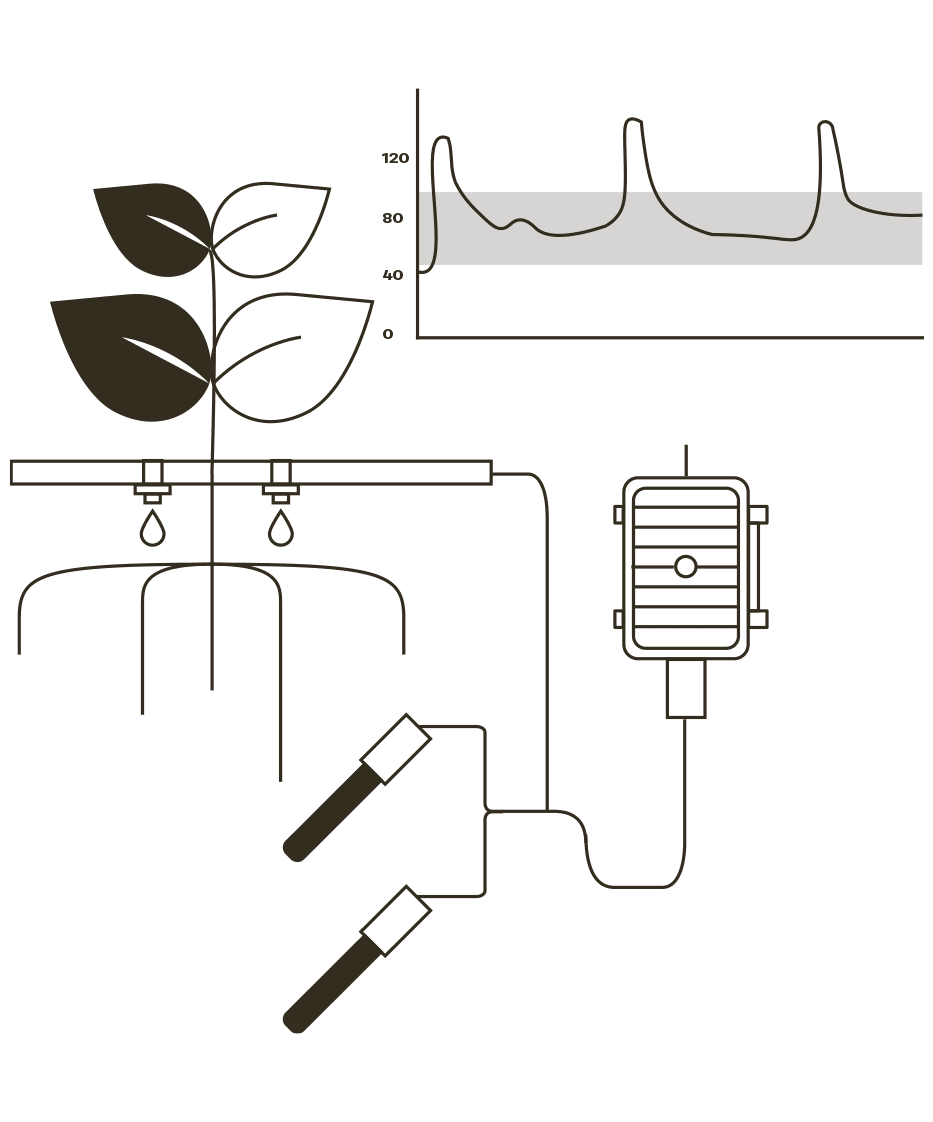 Irrigation analysis and sensor calibration (with AgroBee Sens Pack)