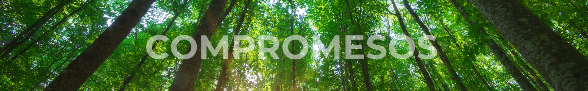 compromesos