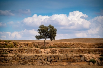 EL SIÓ, ENTRE EL PAISATGE DE SECÀ I EL REGADIU