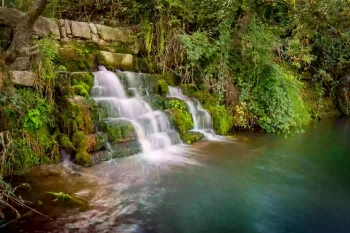 PEIXERES DEL SIÓ