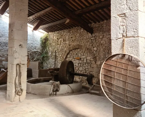 VISITA GUIADA A L’ANTIC MOLI D’OLI MAURICI MASSOT DE BELIANES