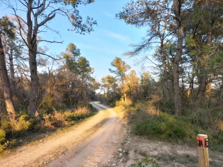 Rutes a peu i en BTT