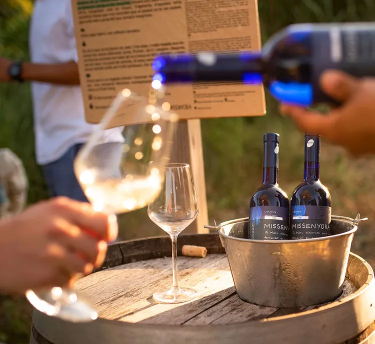 Celler l’Olivera – Tastavinyes