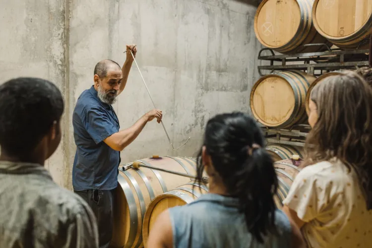 Celler l’Olivera – Visita al celler