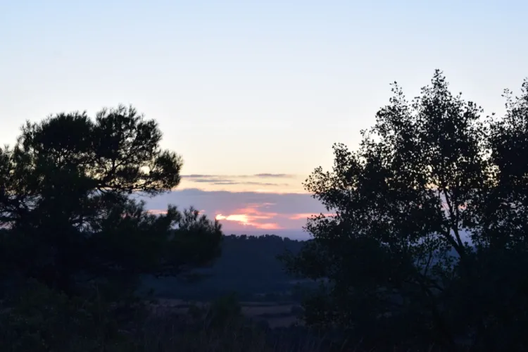 Observatoris de natura