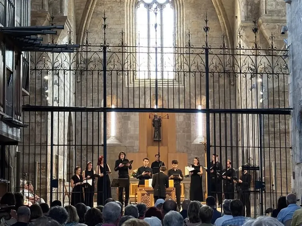 No et quedis sense entrades pel cicle de concerts La Pedra Parla