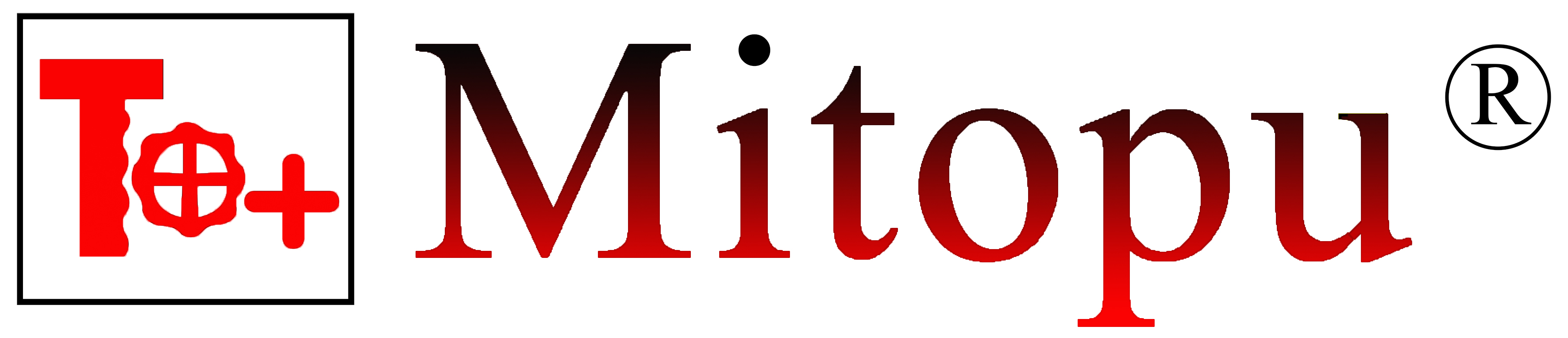 Ascensores Mitopu