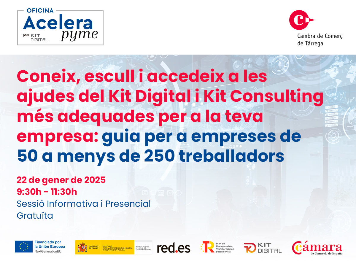 Coneix, escull i accedeix a les ajudes del Kit Digital i Kit Consulting més adequades per a la teva empresa: guia per a empreses de 50 a menys de 250 treballadors