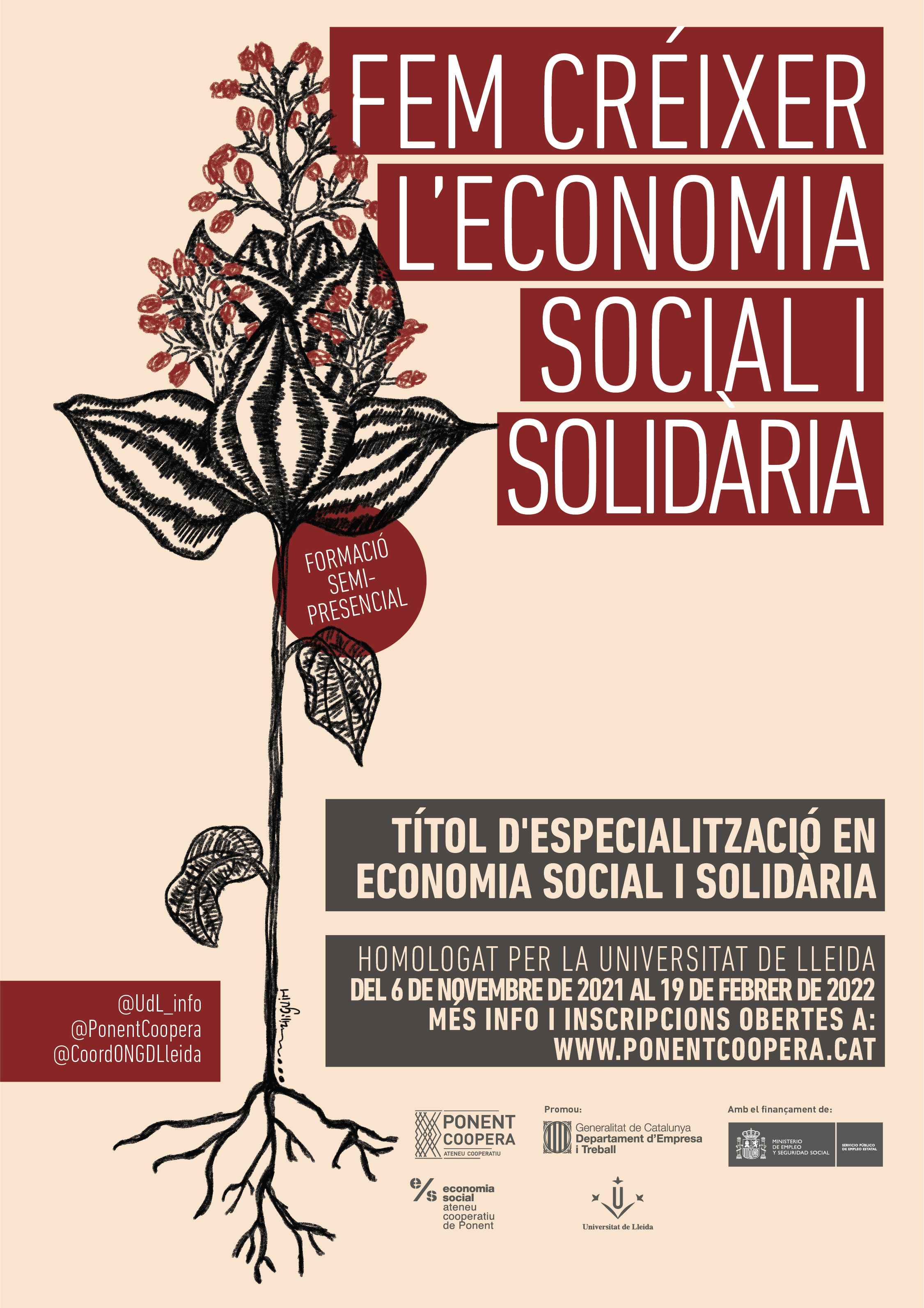 Títol d'Especialització en Economia Social i Solidària. Sessió 3