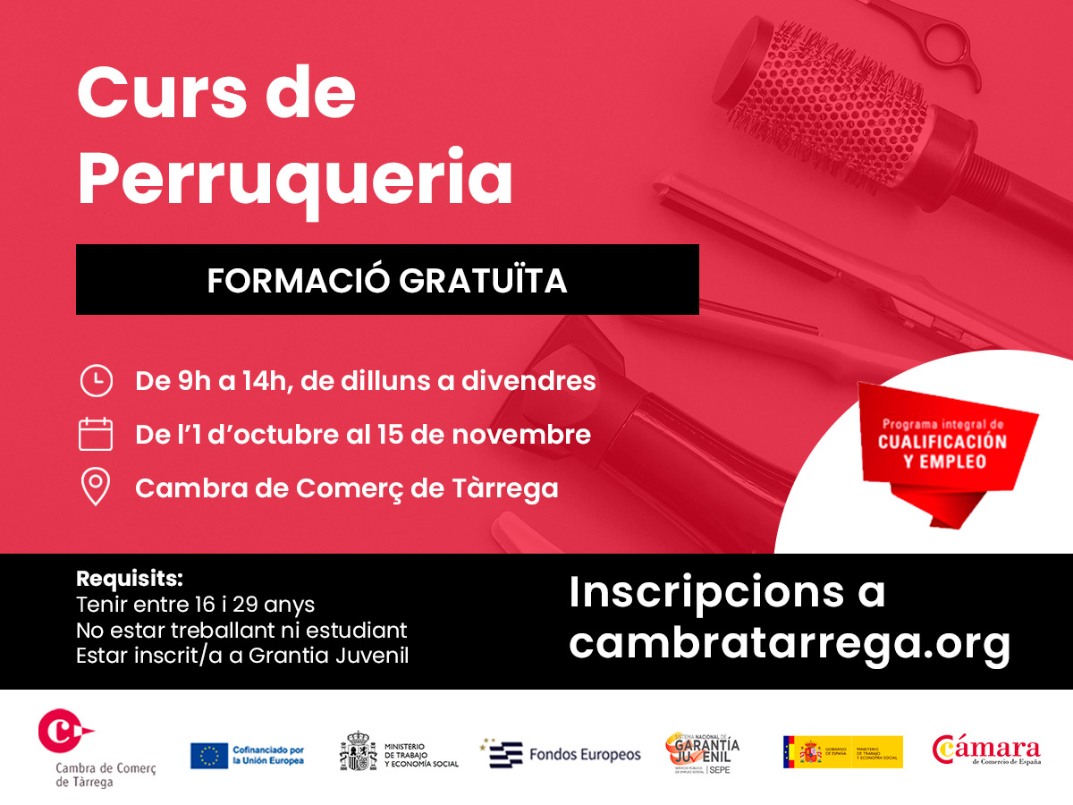 Curs de Perruqueria