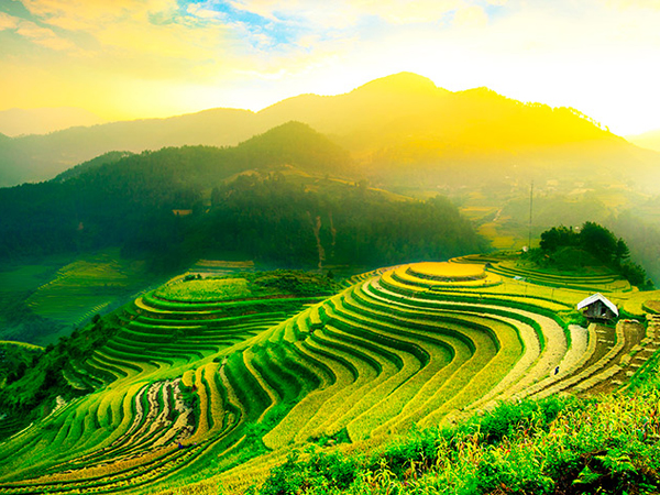 Missió Vietnam, Tailàndia i Indonèsia