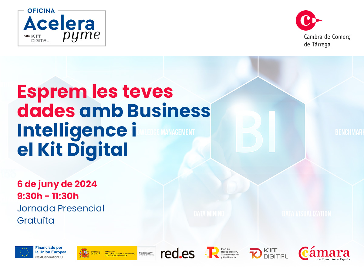 Esprem les teves dades amb Business Intelligence i el Kit Digital