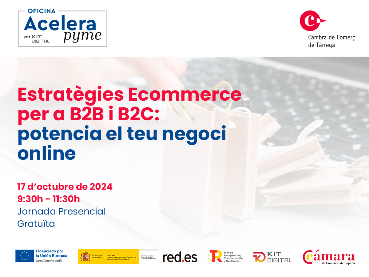 Estrategias Ecommerce para B2B y B2C: Potencia tu negocio online