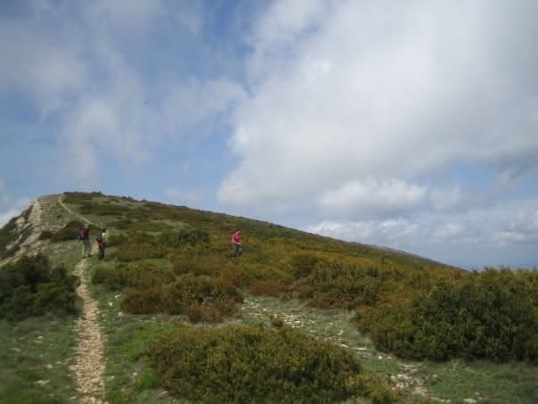 ROCA CORBATERA (Montsant)