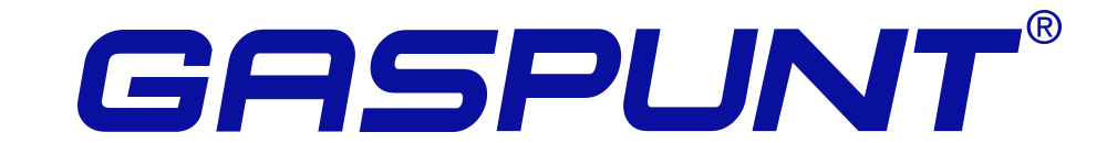Gaspunt Gaspunt