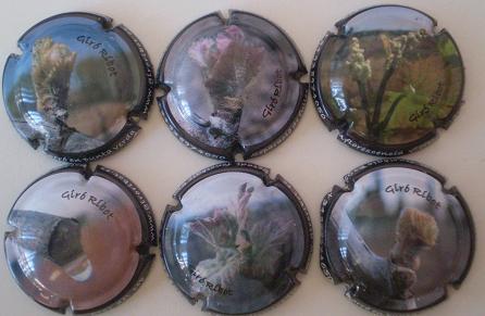 GIRO RIBOT JUEGO 6 PLACAS V. 13423 A 13428