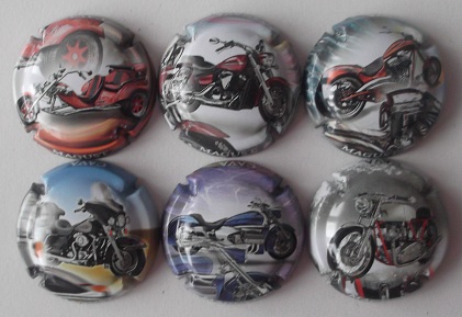 MAGUST JUEGO 6 PLACAS V. 26805 A 26810 (MOTOS)