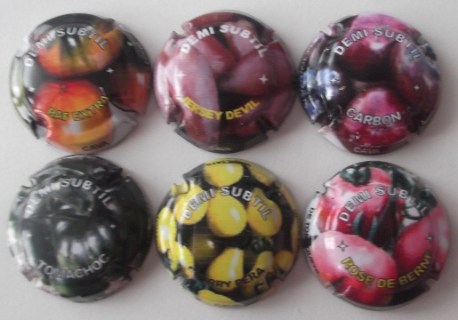 DEMI SUBTIL JUEGO 6 PLACAS V. 25866 A 25871