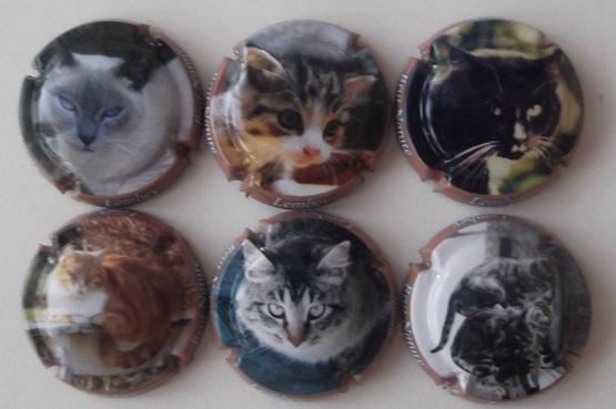 LEMBEY JUEGO 6 PLACAS X. 125731 A 125737 (GATOS 2)