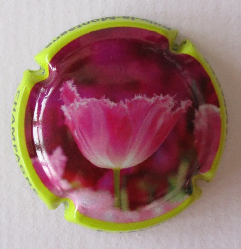 LACOUR E. LAMBERT NOVA (FRA)