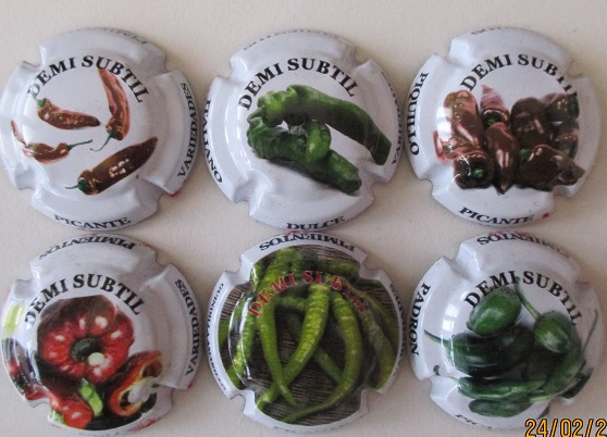 DEMI SUBTIL JUEGO 6 PLACAS X. 100096 A 100101