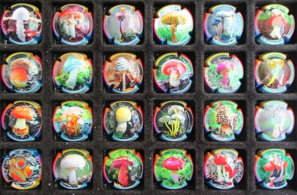 MONT CARMANY JUEGO 24 PLACAS X. 138520 A 138106 (SETAS)