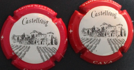 CASTELLROIG X. 00910 A-B