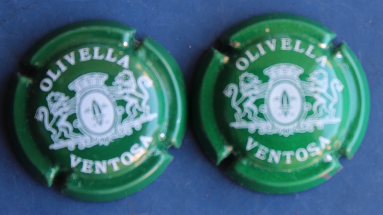 OLIVELLA VENTOSA X. 00146 A-B