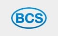 BCS