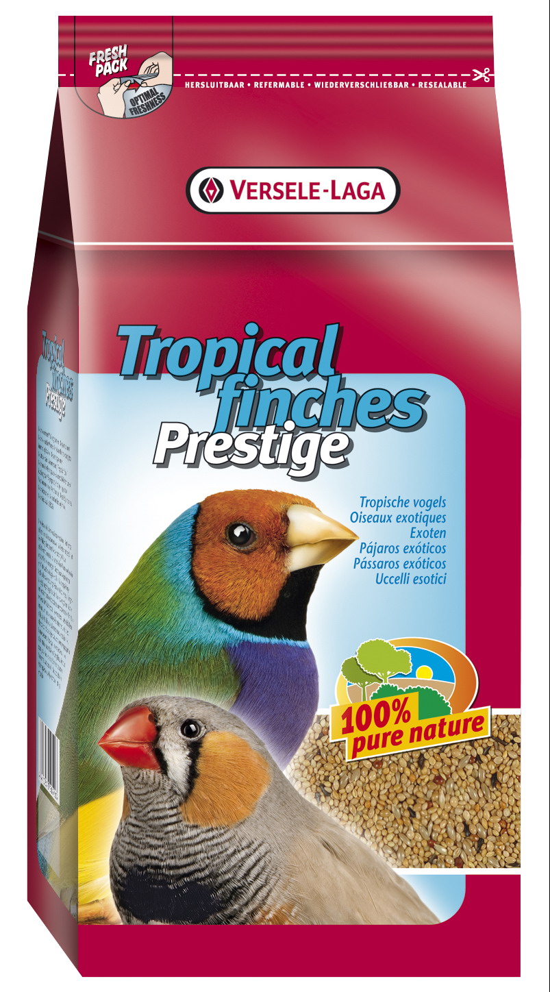 PREST.GOURMET EXOTIC 6x1k  21520