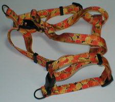 PETRAL PCH CITRICOS LINES  30-40