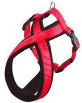 ARNES SPORT CAN CROSS T25