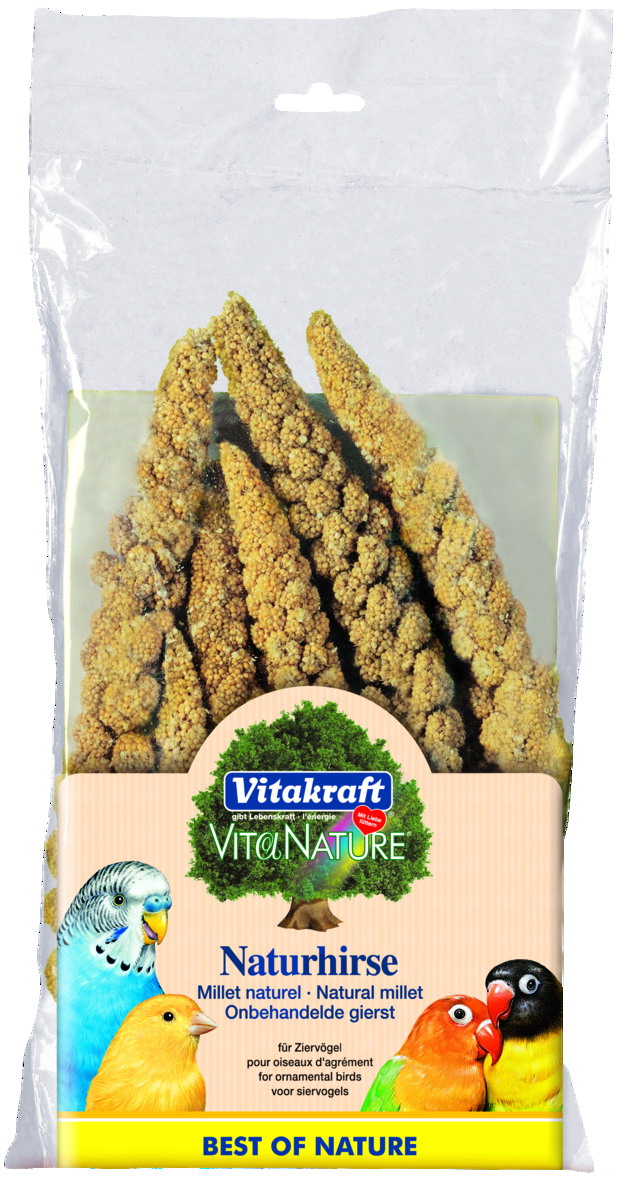 VTK.ESPIGAS MIJO BOL. 14ud 21297