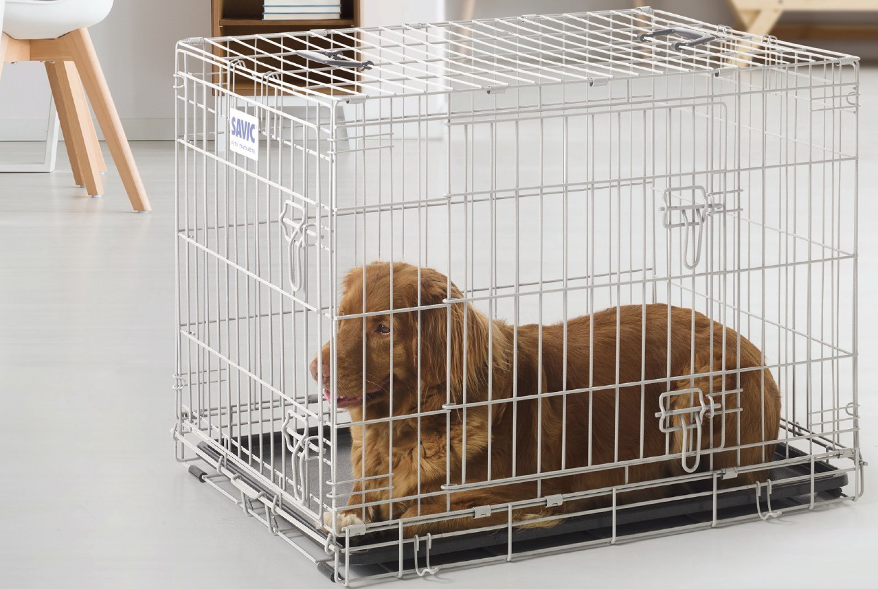 DOG RESIDENCE MARTELE 76*53*61cm