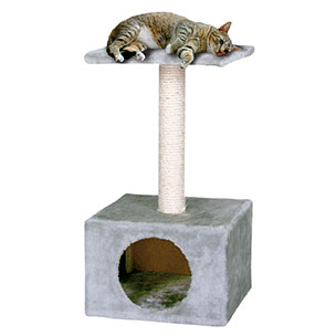 TREPADOR CAJON+MESETA GRIS