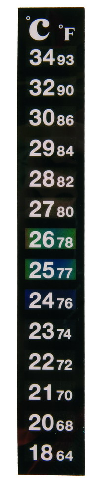 TERMOMETRO DIGITAL ADHESIVO