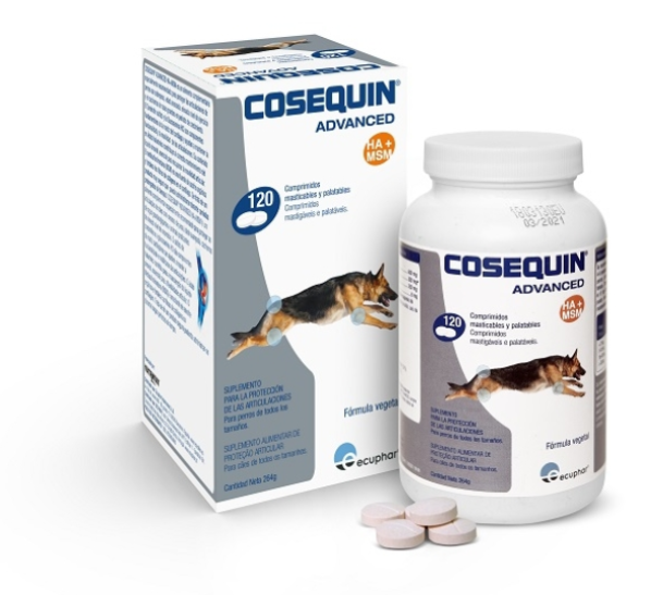 COSEQUIN HA ECUPHAR 120 Comp.