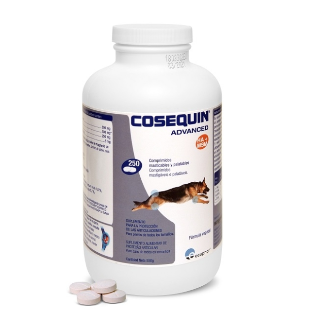 COSEQUIN HA ECUPHAR 250 Comp.