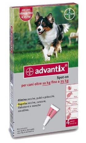 PIPETA ADVANTIX 2.5ml 10-25k 4ud