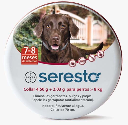 SERESTO LATA PERRO >8kg RAZA GR