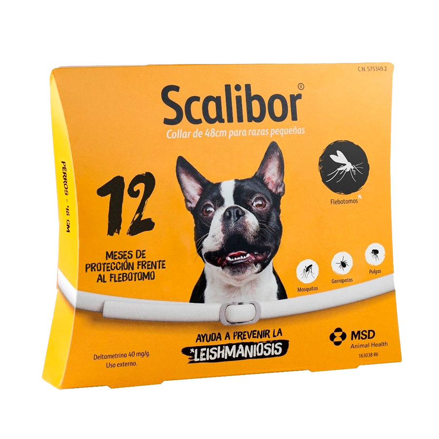 COLLAR SCALIBOR 12meses     48cm