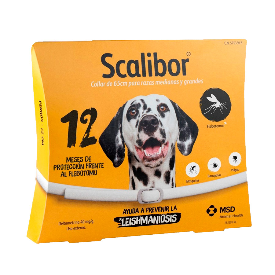 COLLAR SCALIBOR 12meses     65cm